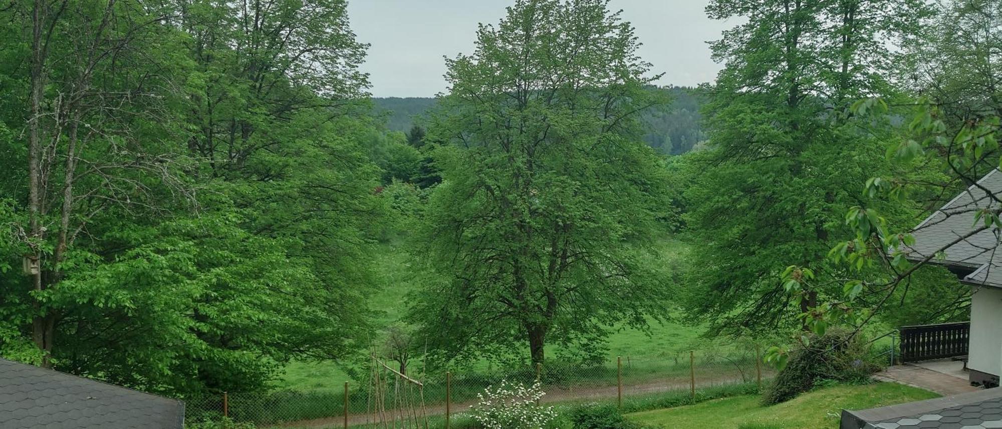 Sessles Waldhaeusschen Dietzhausen ズール エクステリア 写真