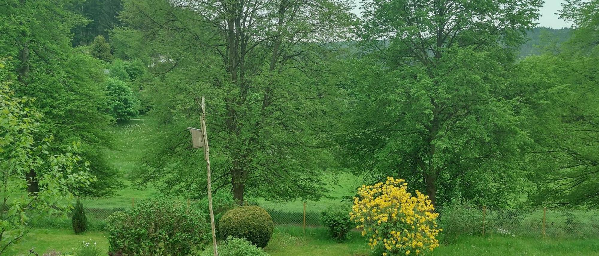 Sessles Waldhaeusschen Dietzhausen ズール エクステリア 写真
